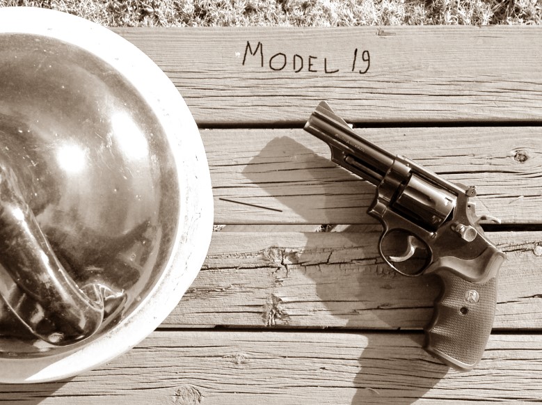 Model 19-2