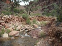 clear creek.jpg