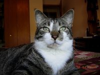 Bella 3.jpg