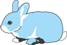 BLUE BUNNY.jpg