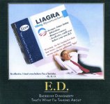 Liagra001.jpg