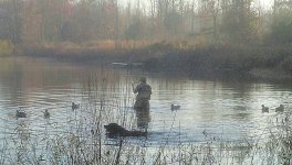 duck 2.jpg