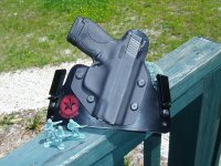 Shield-OldFaithful3.jpg