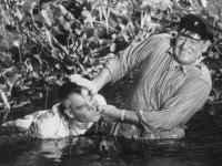 la_taverne_de_l_irlandais_donovan_s_reef_1963_portrait_w858[1].jpg