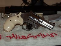 Ivory-2.jpg