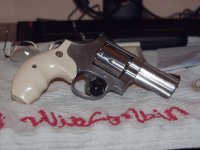 Ivory-3.jpg