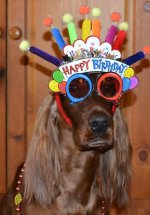 bdayrory.jpg