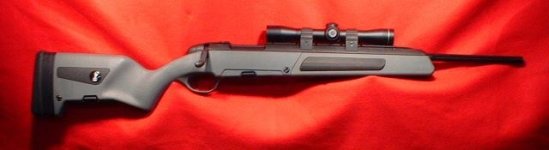Scout Rifle R.JPG