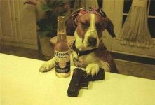 Dog has attitude problem.jpg