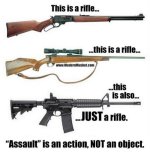 assaultweapon.jpg