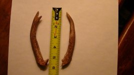 PIC_0455.jpg