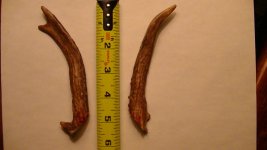 PIC_0456.jpg