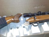 Browning 1.jpg