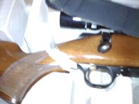 Browning 3.jpg