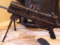15.22 clip, bipod, scope.jpg