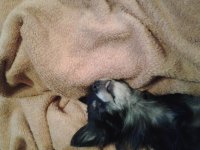 20140131_223352.jpg