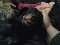 20131226_205240.jpg