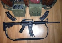 M&P 15-22 .jpg
