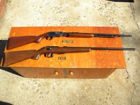 22Rifles.JPG