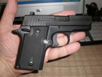 SIG P938.jpg