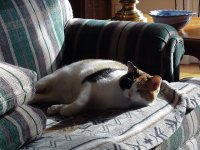 Peeper couch 2006.jpg