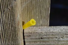 DSC_0247.jpg