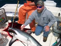 Shark Torn. 09 016.jpg