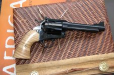 Colt # 5.JPG