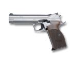 p210_silver-target_1.png