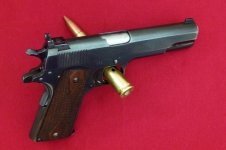 L1030007 (1).jpg