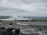 IMG_0023.jpg