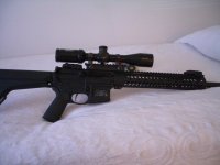 Bushnell 223.jpg