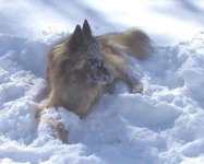 Winter_Thunder_#1_Resized.jpg