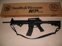 S&W M&P  15-22 001.jpg