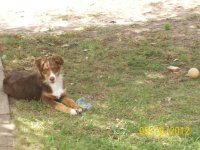 Bo 9-2012.JPG