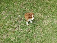 Charley 003.JPG