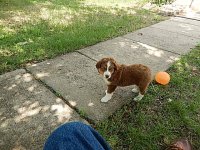 Charley 009.JPG
