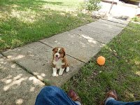 Charley 012.JPG