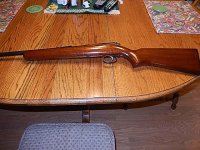 Gun 003.JPG