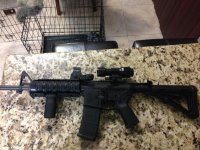 MP15.jpg