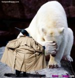 penguin2.jpg