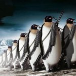 penguin4.jpg