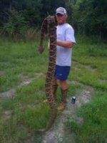 Big Snake.jpg