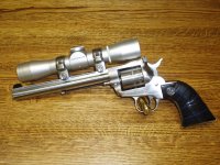 Ruger 17 HMR 001.jpg
