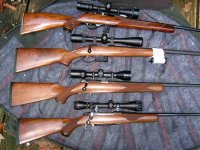 assorted rifles - Copy.jpg
