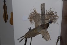 Wall art 007.jpg