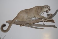 Wall art 004.jpg