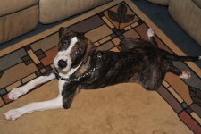 DSC_1652.JPG