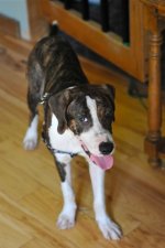 DSC_1647.JPG