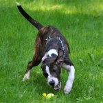 DSC_1827.JPG